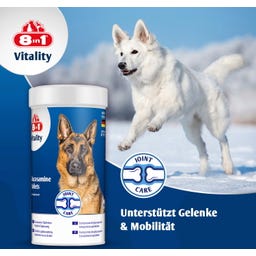 Glucosamin für ausgewachsene und ältere Hunde - 55 Tabletten