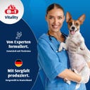 Glucosamin für ausgewachsene und ältere Hunde - 55 Tabletten