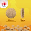 Multivitamintabletten für ausgewachsene Hunde - 70 Tabletten