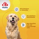 Multivitamintabletten für ausgewachsene Hunde - 70 Tabletten