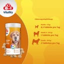 8in1 Multivitamintabletten für ältere Hunde - 70 Tabletten