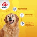 8in1 Multivitamintabletten für ältere Hunde - 70 Tabletten