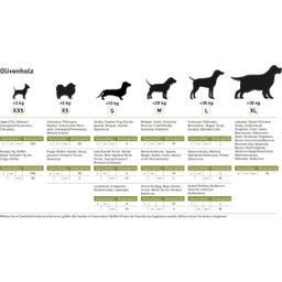 Chewies Olivenholz Kaustab XXS - 1 g