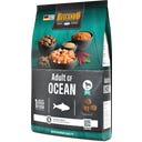 Adult Ocean Getreidefrei, 4 kg