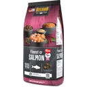 Belcando® Finest Salmon - Graanvrij