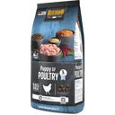 Belcando® Puppy - Volaille sans Céréales