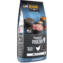 Belcando® Puppy Poultry - Graanvrij - 1 kg