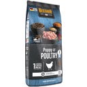 Belcando® Puppy Poultry - Gabonamentes - 12,5 kg