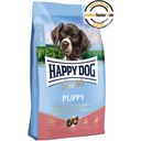 Trockenfutter Sensible Puppy Huhn, Lachs und Kartoffel - 4 kg