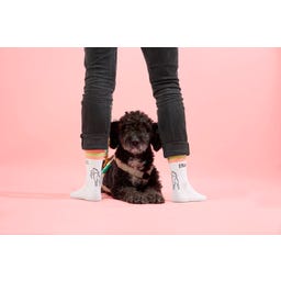 Strayz Tennissocken Hundemotiv - 36-38
