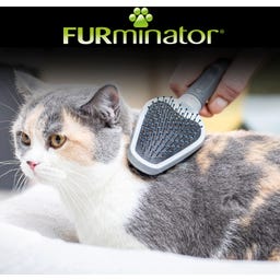 FURminator Doppelbürste für Hunde und Katzen - 1 Stk