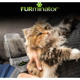 FURminator Plukborstel Maat S Voor Katten En Honden - 1 stuk