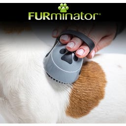 FURminator Curry Brush for Dogs & Cats - 1 item
