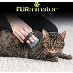 FURminator Curry Brush for Dogs & Cats - 1 item