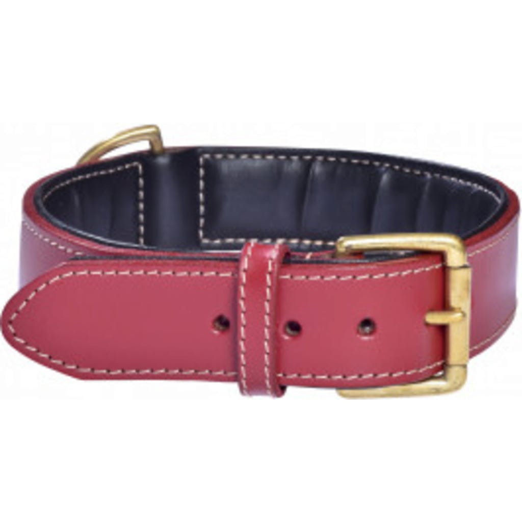 Bobby Halsband Kyrielle, Größe L, Rot | Nylon, 2,5 Cm Breit | Für Hunde, Umfang 42-70 Cm