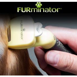 FURminator deShedding Tool for Short-Haired Dogs - XS