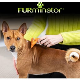 FURminator deShedding-Tool pre krátkosrstých psov - M