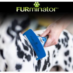 FURminator deShedding-Tool pre krátkosrstých psov - L