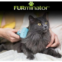 FURminator deShedding Tool for Long-Haired Cats - S