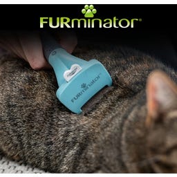 FURminator deShedding Tool for Short-Haired Cats - S