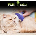 FURminator deShedding-Tool Kat - Korthaar - M/L