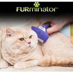 FURminator deShedding-Tool Kat - Korthaar - M/L