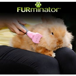 FURminator deShedding Tool for Small Pets - 1 item