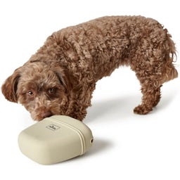 Hunter Lugo Siliconen Heuptasje - Beige