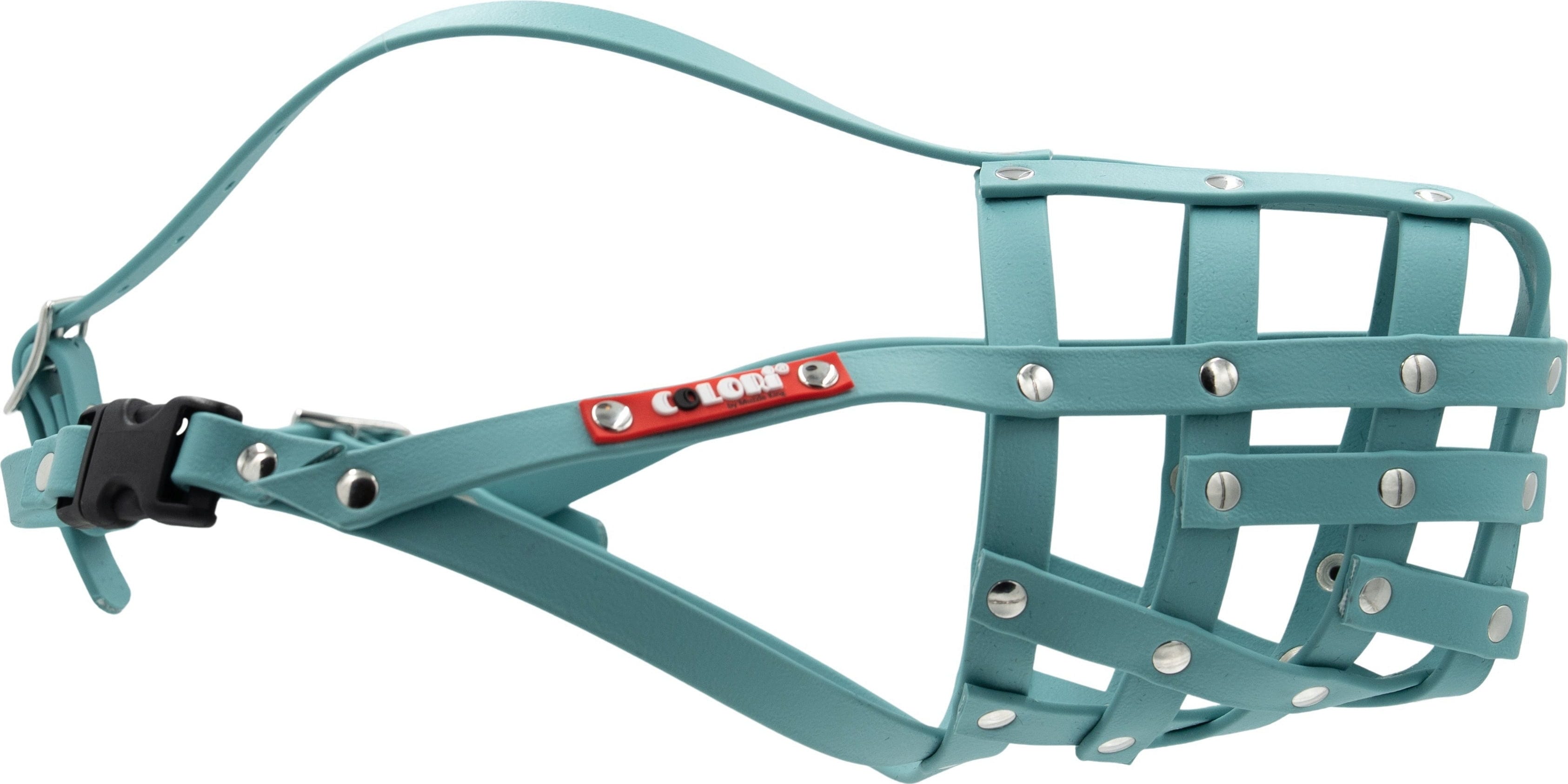 Colori Collie - Australien Shepherd & simil.noses Size 2 - Sea Turquoise