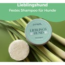 Pflegeset Lieblingshund mit festem Hundeshampoo - 60 g
