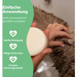 Pflegeset Lieblingshund mit festem Hundeshampoo - 60 g