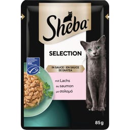 Selezione in Salsa - Salmone MSC, Bustina Monodose - 85 g