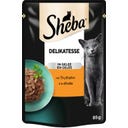 Sheba Delicacy in Jelly - Turkey, Pouch - 85 g