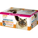 Sensitive Wet Cat Food Pouches in Sauce, 52 x 85 g - Chicken & Carrot, Salmon & Carrot, 36 + 16 Free