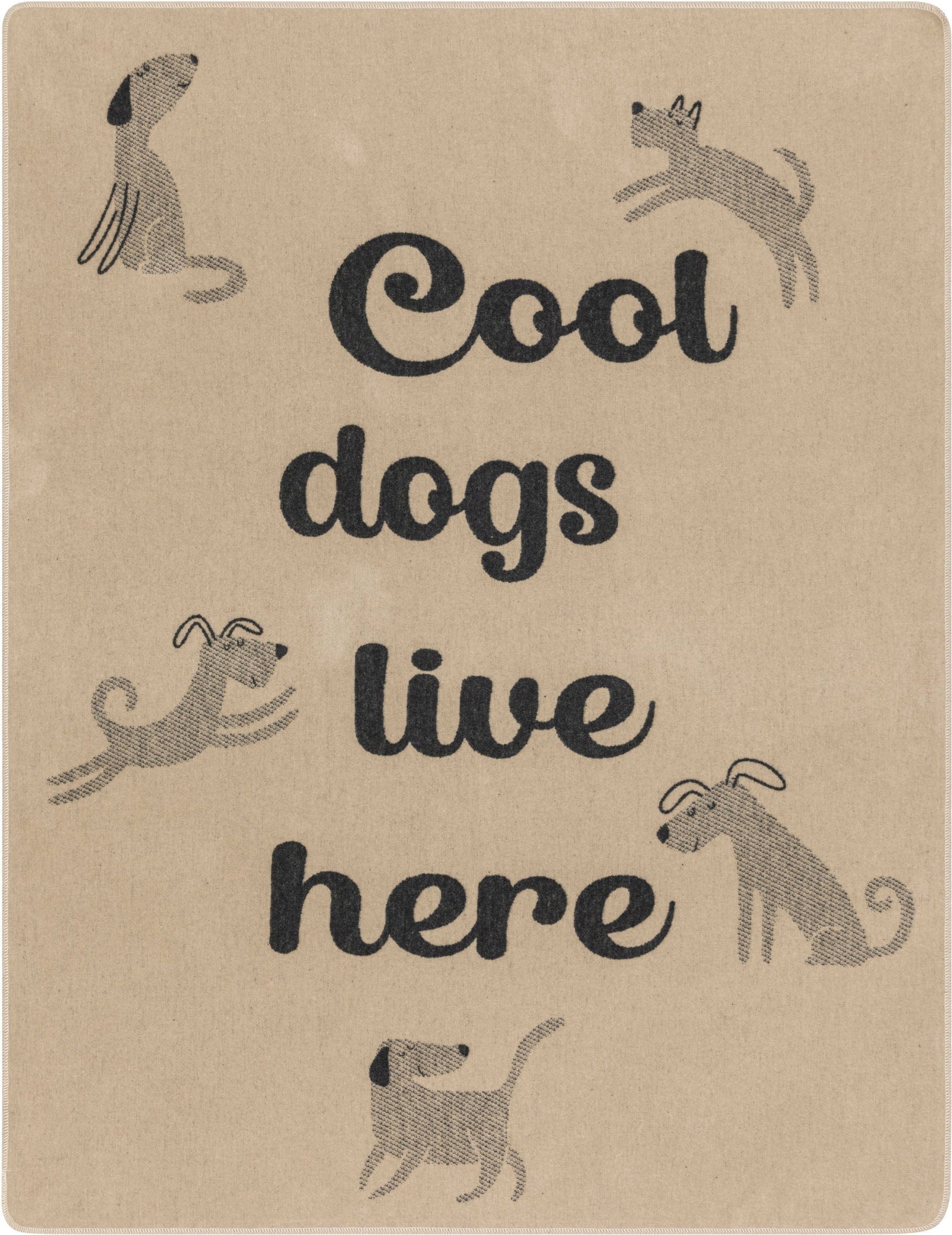 David Fussenegger Haustierdecke "cool dogs live here" - 100 x 140 cm