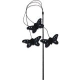 Croci Halloween Cat Wand with 3 Butterflies