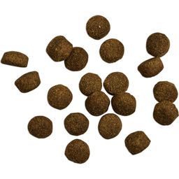 Belcando® Baseline Ranger - Senza Cereali - 1 kg
