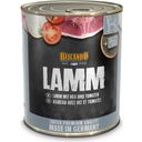 Belcando® Lamm, Reis und Tomate - 800 g