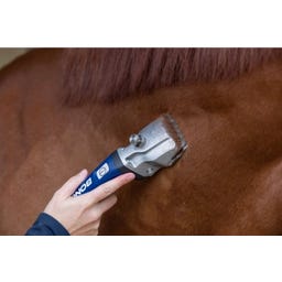 Akkuschermaschine Bonum Pro Pferd inkl. 1 Akku - blau