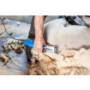 Schermaschine Econom Nova für Schafe 230V - 1 Stk