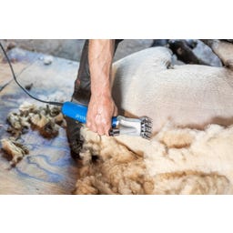 Schermaschine Econom Nova für Schafe 230V - 1 Stk