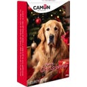 Camon Adventskalender für Hunde