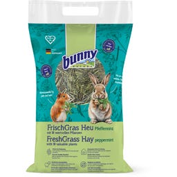 bunny FrischGras Heu Pfefferminze
