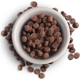 Leonardo Adult - Salmone senza Cereali - 300 g