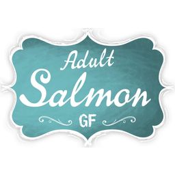 Leonardo Adult Salmon Getreidefrei - 300 g