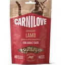 Katzensnack Crunchy Snack Lamm+Brombeeren - 50 g