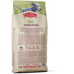 Croquettes pour Chiens True Fresh Fresh Junior Duck L/B - 4.000 g
