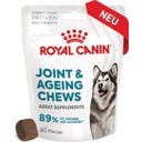 Royal Canin Joint & Ageing Chews Adult Supplements - 240 g