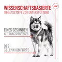 Royal Canin Joint & Ageing Chews Adult Supplements - 240 g
