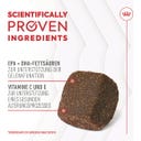 Royal Canin Joint & Ageing Chews Adult Supplements - 240 g